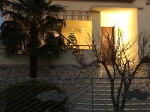 IMG 2400 (1)